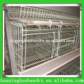 Breeding bird cage for Layer Chicken Cage for sale